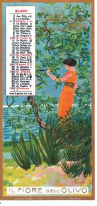 1903_maggio - calendario Olio Sasso